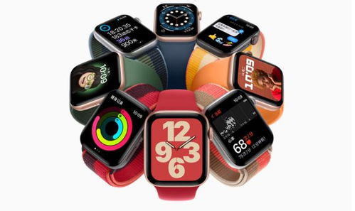 智能手环出货量下滑探因 智能手表的崛起与市场格局演变